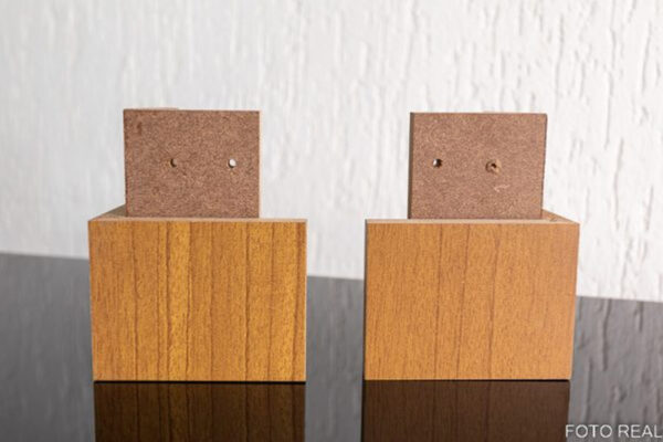 Kit 8 Pés Madeira Cinamomo D'doro